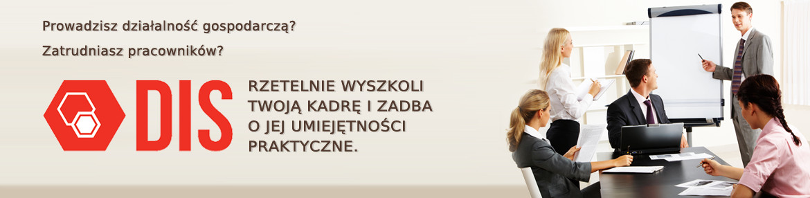 DIS - Doradztwo i Szkolenia
